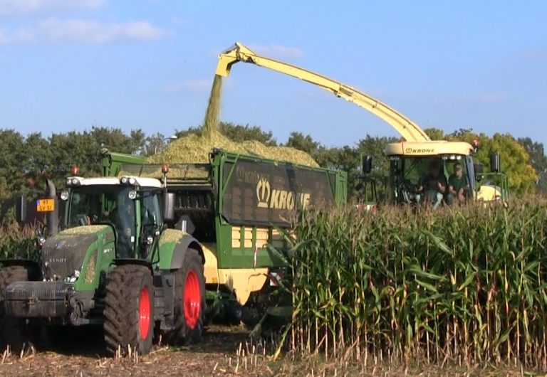 Loonbedrijf: boven in de mais