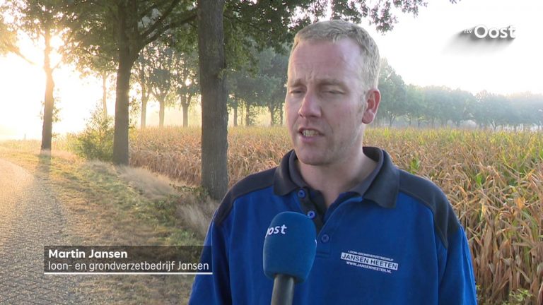 Loonwerkers vroeg uit de veren om mais te hakselen
