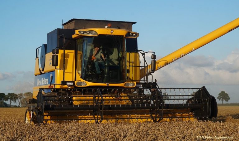 Tarwe oogst met New Holland CSX 7080 Buseman Akkerbouwb. — Tonnie Stam