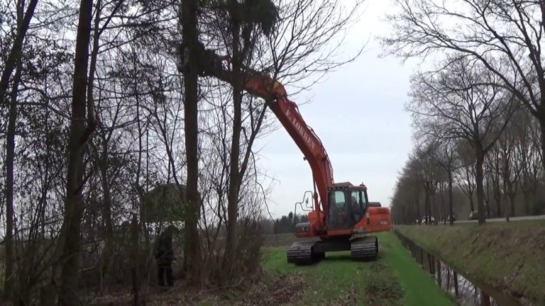 DOOSAN DX 225 C & STIHL BOMEN KAPPEN