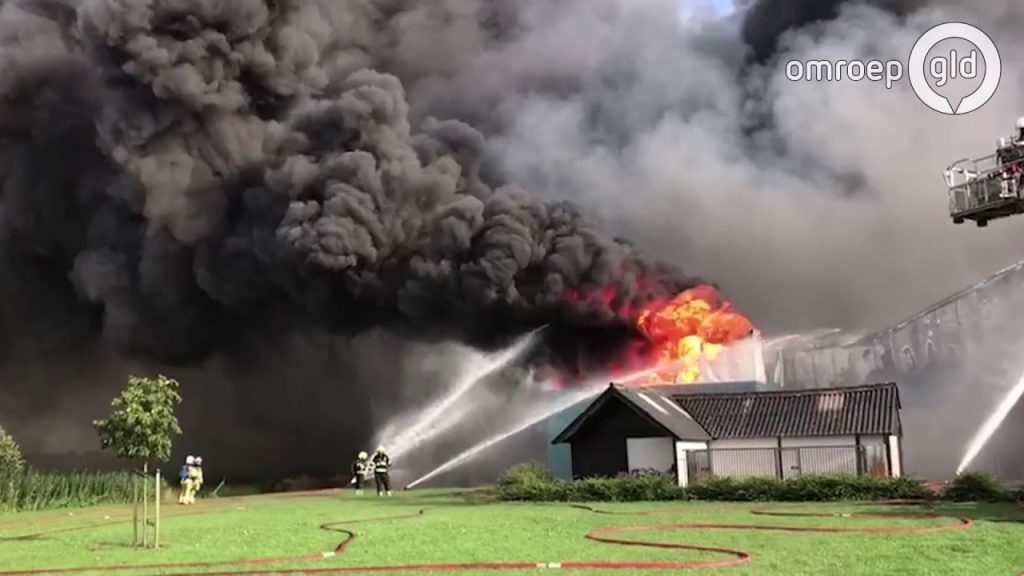 Grote brand in varkensstal met 10.000 varkens