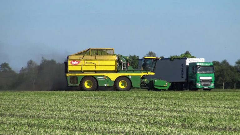 PLOEGER MK 2140 SPINAZIE AAN HET MAAIEN