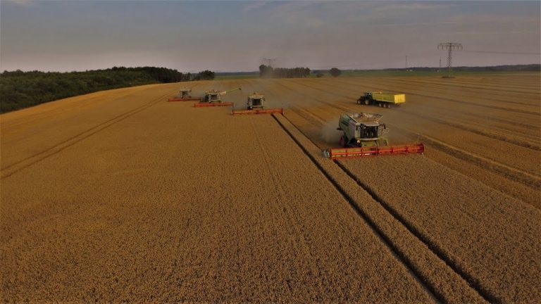  Claas Lexion 770tt im Goldrausch #harvest2017|John Deere|Krampe|Areco