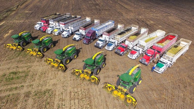Maïs oogst in Texas door Friesen met 5 John Deere 8000 serie hakselaars en 14 trucks. Big is Beautiful…….
