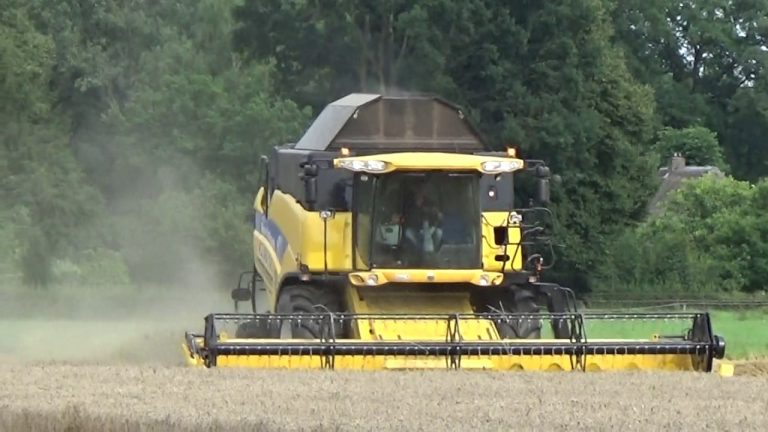 NEW HOLLAND CX 8080 ZOMERGERST OOGSTEN 2017