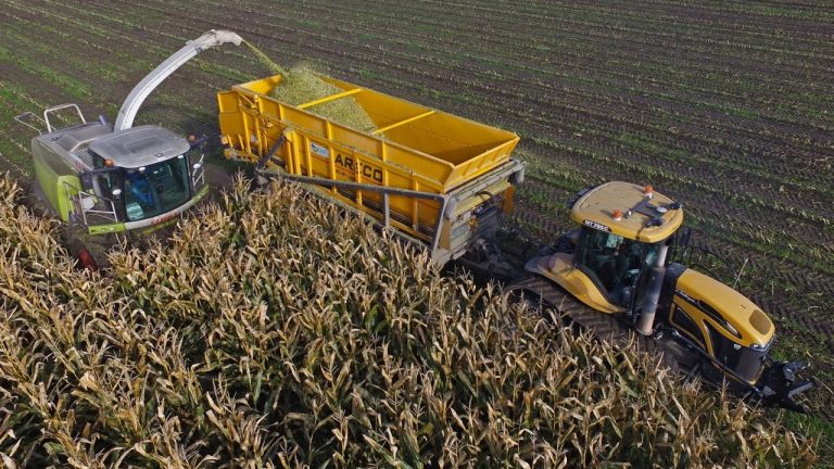A-Maize-ing harvest! | ERF | 2 trailers on tracks | Challenger MT765C & JD 6215R