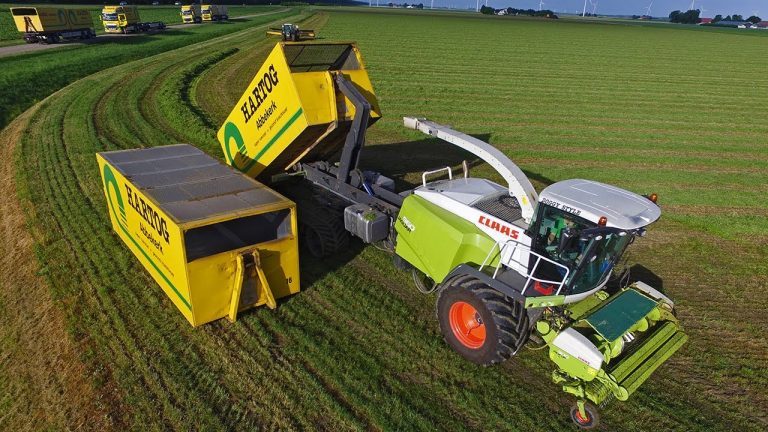 Claas Jaguar ‘Doggy Style’ | Grasdrogerij Hartog | Krone Big M 420 & ROC RT 1000