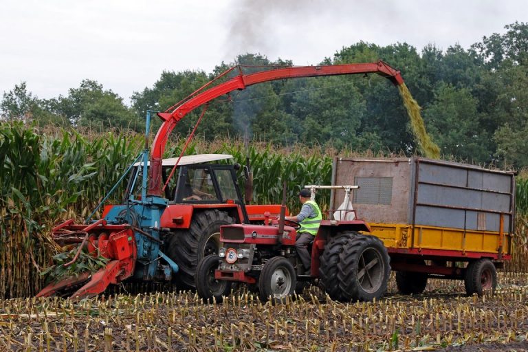 Hakseldag Corn County Fair Beckum 2016 | 8 classic maize harvesters