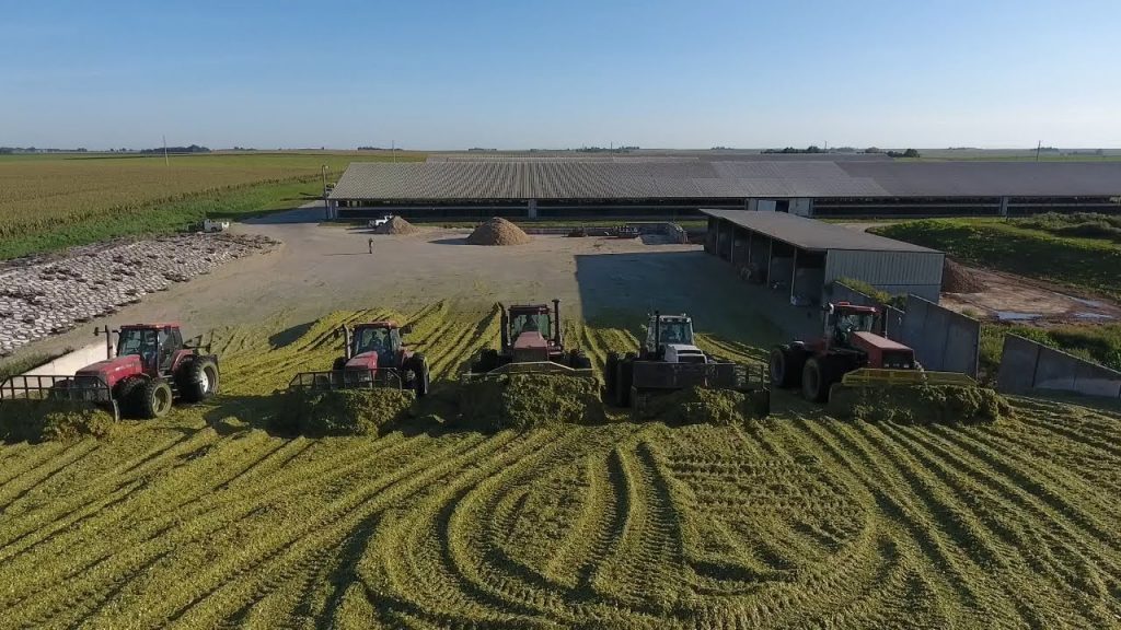 Mais inkuilen 2017 in Iowa met New Holland hakselaars en heel veel Case tractoren.