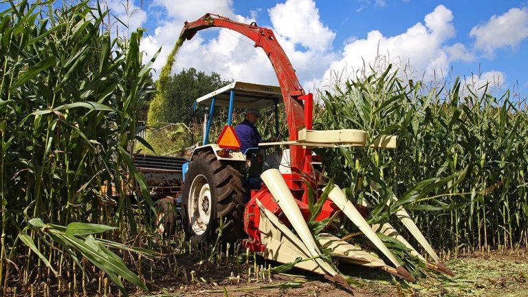 Oldtimer Hakseldag Espelo 2017 | 11 Classic maize harvesters