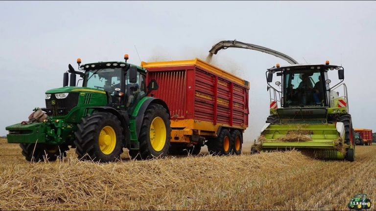 Tarwestro hakselen met Claas Jaguar 950. Loonb. Sportel Midwolda. Tonnie Stam