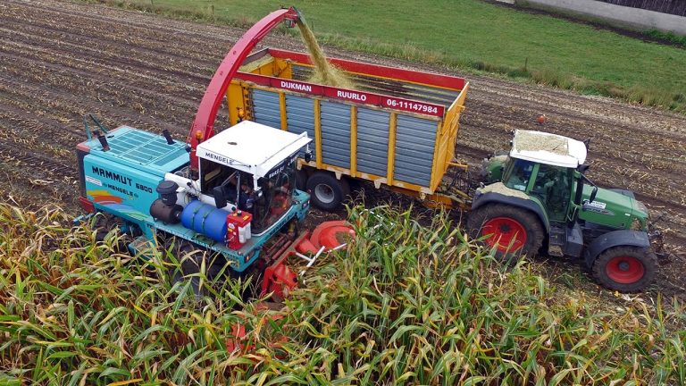 The Mighty Mammut | Maize harvest 2016 | Mengele Mammut 6800 & friends