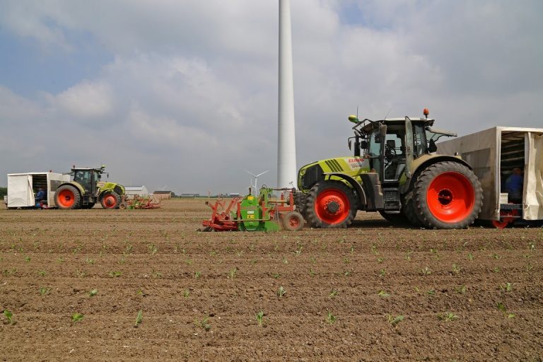 The story of the Brussels sprout pt. II | 2 autonomous Claas Arion 650 planting