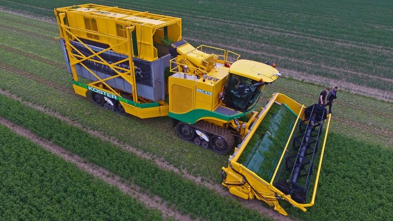 The yellow tracked monster | *Brand New* Ploeger MKC-4TR | coriander harvest