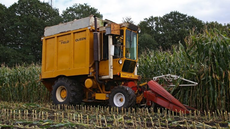 Old-Timer Hakseldag Dalen 2017 | V8 Power | Hesston – Fox – Farmhand