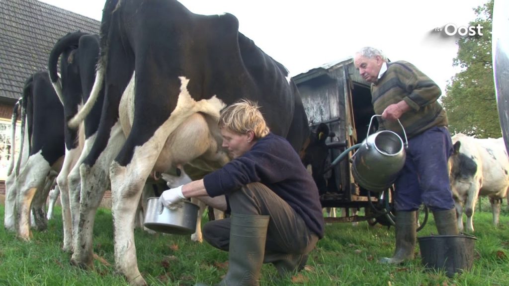 Boer Gerrit gaat niet mee met de schaalvergroting