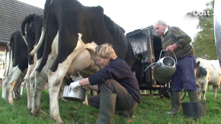 Boer Gerrit gaat niet mee met de schaalvergroting