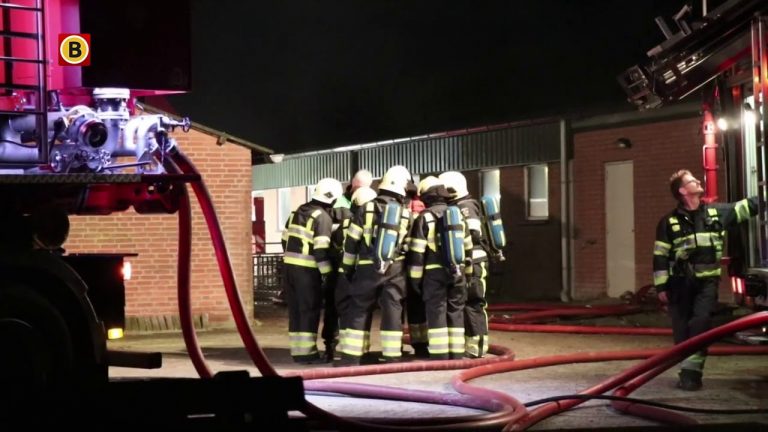 Grote uitslaande brand in varkensstal l deurne l omroep brabant