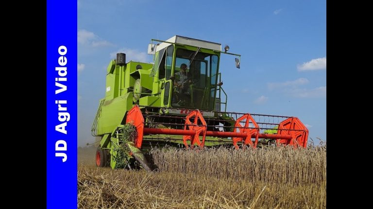 Claas Dominator 85/Graan dorsen/Grain harvest/Weizenernte/P van den Hardenberg/Elspeet