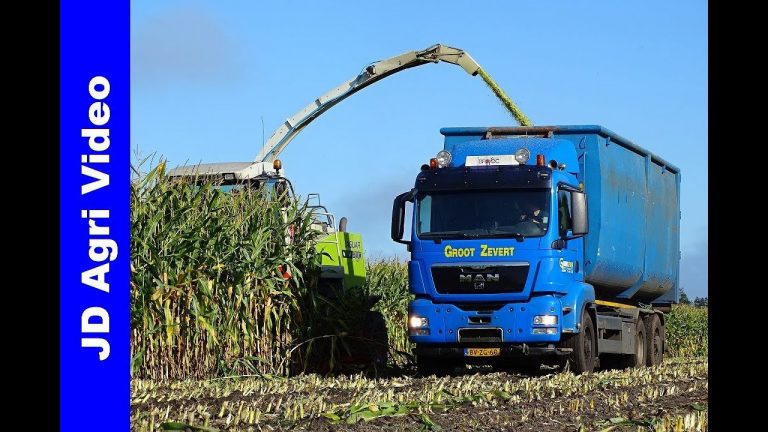 Mais hakselen 2017/Claas Jaguar 890/Volvo/MAN/Groot Zevert/Harvesting maize/Maishäckseln