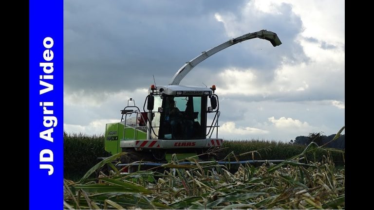 Mais hakselen 2017/Stormschade/Claas Jaguar 870/van Spijkeren/Harvesting maize/Maisernte
