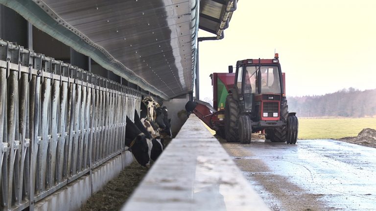 Feedwall en luchtwasser in nieuwe innoverende stal ‘Hollander’