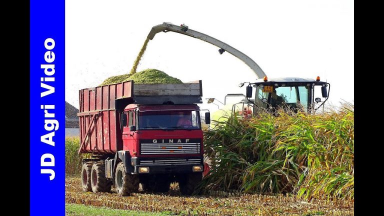 Mais hakselen 2018 | Claas Jaguar 860 | Ginaf+MAN+JCB | Timmers | Schimmert