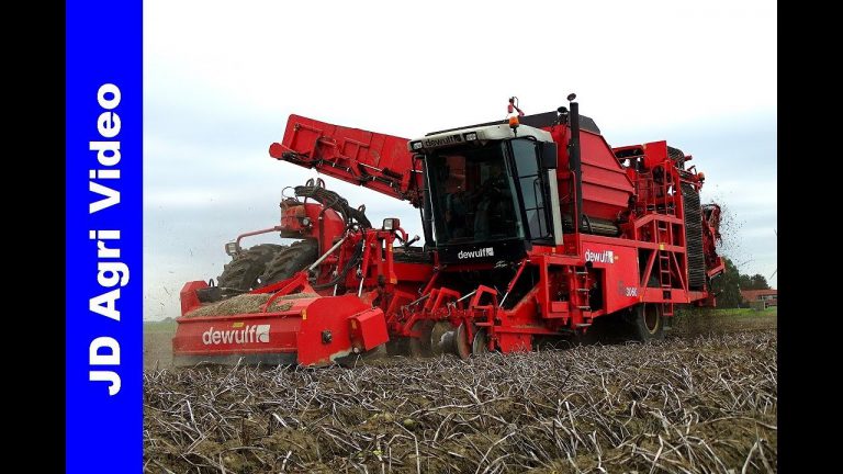 Aardappels Rooien 2018 | Dewulf RA 3060 | van Liere | Harvesting potatoes | KartoffelernteDronten