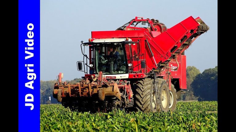 Bieten oogst 2018 | Agrifac Sixx Traxx | Fendt 826 | Blitterswijk Agro | Rübenernte | Beet harvest