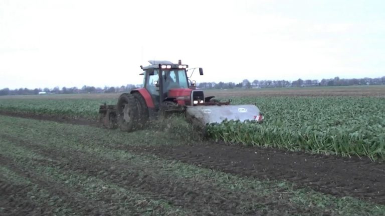 Suikerbieten rooien in Groningen.