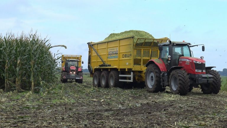 Loonbedrijf Reimink in de mais met Claas Jaguar Massey Ferguson 7624 Dyna VT en Massey Ferguson 7724 Dyna VT met DEWA 3-assers 2017. nagd2010