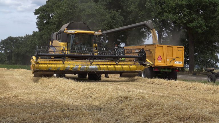 ZOMER GERST COMBIINEN MET EEN EW HOLLAND CX 840 EN EEN CLAAS AXION 830