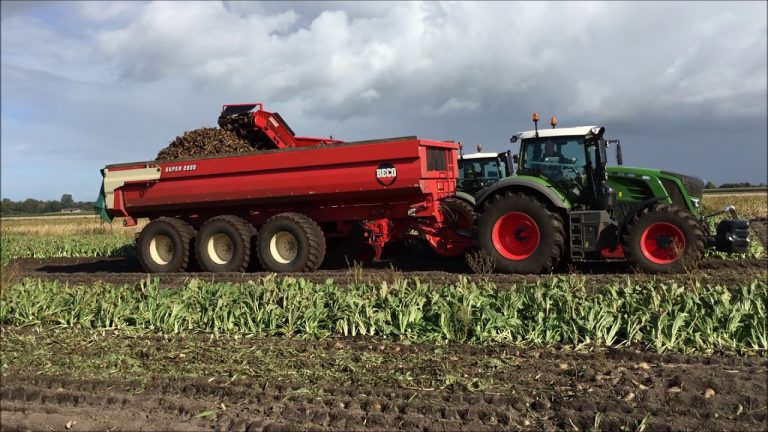 Cichorei rooien bij landbouwbedr. Buijs. Fendt 516 Vario met Grimme FM. Transport met een Fendt 930 en een nieuwe 826 Vario  Herman Deuling