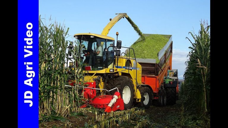 Loonbedrijf Johan Frens uit Hulshorst hakselt mais met stromschade met een New Holland FX50.. Johan Drost Agri Video