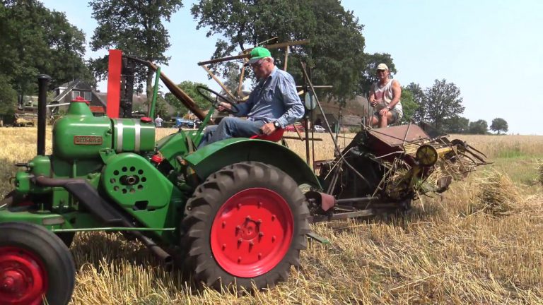 FLY-IN GEES OOGSTEN VAN TRITICALE MET EEN ALLGAIER EN EEN ZELFBINDER