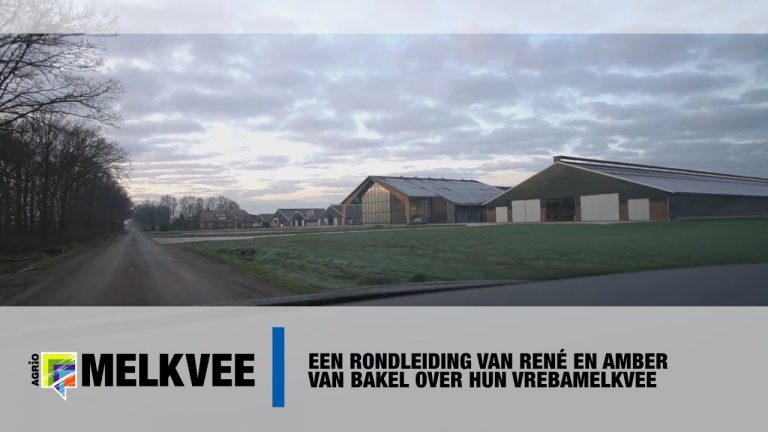 Rondleiding bij René en Amber van Bakel l 2250 koeien