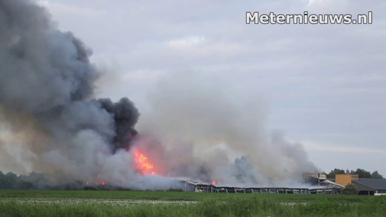 Brand in kippenstal in groningen l 100.000 kippen omgekomen