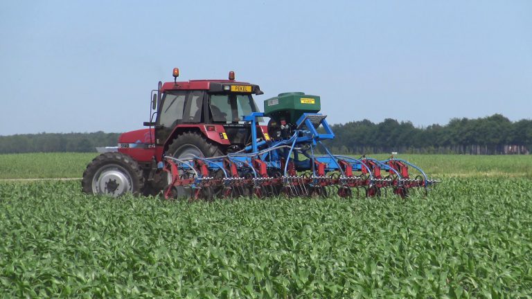VANGGEWASSEN ONDERZAAIEN IN DE MAIS CASE PRO MAXXUM 5140
