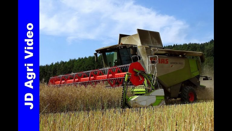 Claas Lexion 560 | Harvesting Oilseed Rape 2019 | Korbach (D) | Koolzaad dorsen | Rapsernte