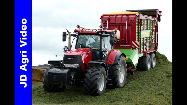 Case Puma 185 + 145 CVX | Grass silage | Gras inkuilen | Korenberg Oosterwolde | Pit work | 2019