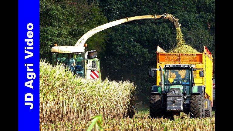 Maishakselen 2019 | Krone BigX 700 + Fendt + Claas | Maishäckseln |  LU Holthenrich Neuenkirchen