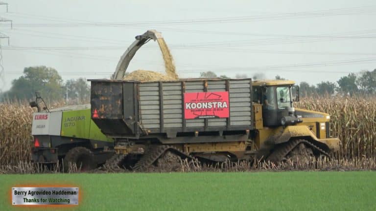 Mais hakselen 2019, Terra gator on rupsbanden