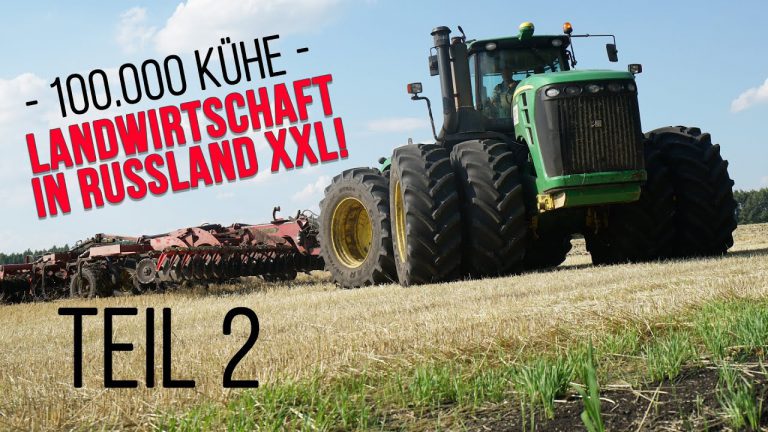 grootste akkerbouwbedrijf in Rusland deel 2 l 550.000 ha en 100.000 melkkoeien