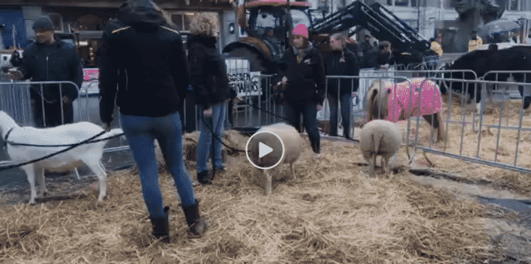 Liveblog #2 de opbouw is in volle gang