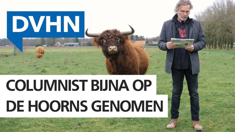 DVHN columnist krijgt bijna vliegles