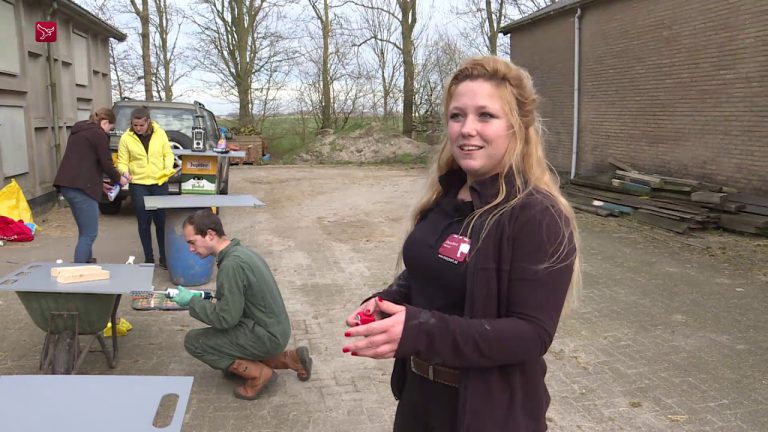Studenten uit Dronten hebben een nieuw varkensopdrijfschot ontworpen. Die schotten gebruiken boeren om varkens te verplaatsen – Omroep Flevoland