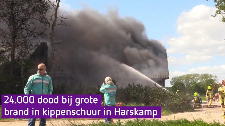 Grote brand in kippenstal in Harskamp, 24.000 kippen overleefde het niet. Omroep gelderland