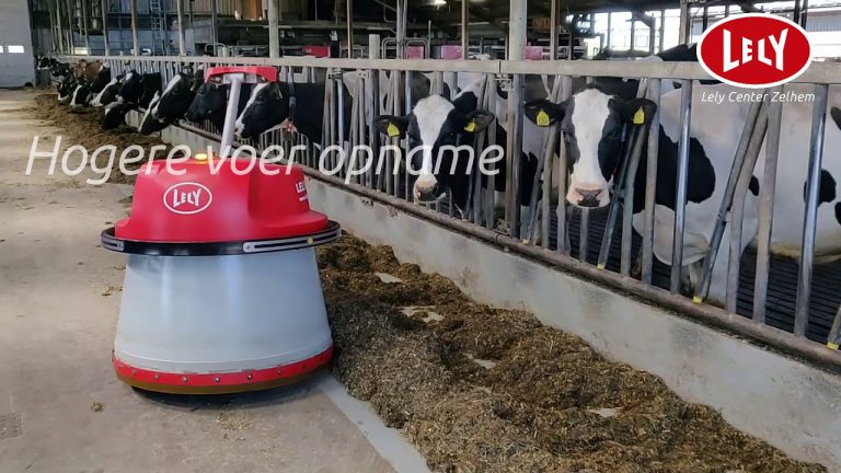 Iedere veehouder kent het belang van voerschuiven. Lely Juno: vaker voerschuiven, hogere ruwvoeropname, tijdsbesparing — Lely Center Zelhem