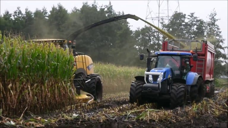 Modderen in de mais……Loonbedrijf Karel van Rooy met New Holland hakselaar en trekkers