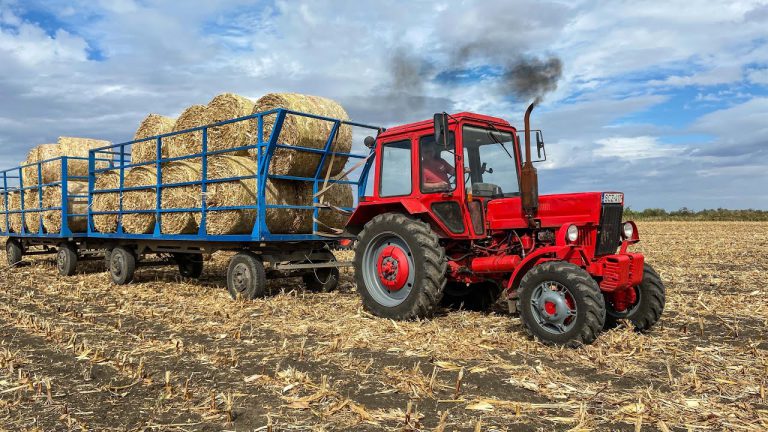 Maisstro balen 2020 met 3x MTZ + Claas Arion 540 + Case IH en een CAT TH 62